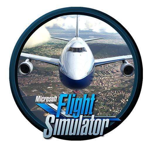 Microsoft Flight Simulator