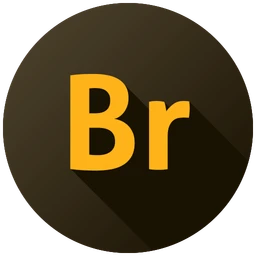 Adobe Bridge 2024