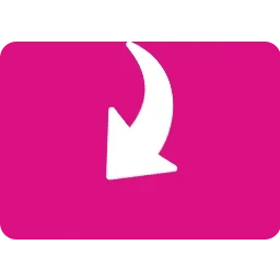 Heidi Software Internet Video Downloader