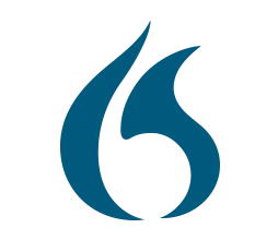 Nuance Dragon Professional